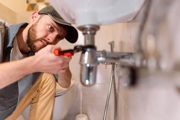 Best Clogged Drain Plumber  in Hrison, AR
